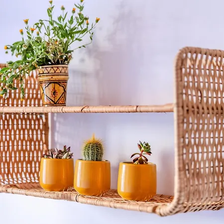 Apartamento Casa Luisa 2 Ruhig Zitronenbaum *