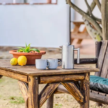 Casa Luisa 2 Ruhig Zitronenbaum Conil De La Frontera