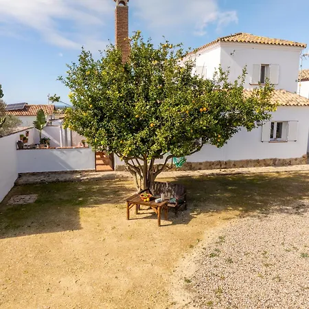 Casa Luisa 2 Ruhig Zitronenbaum Conil De La Frontera